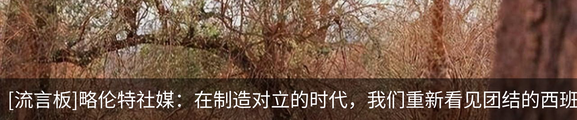 资讯中心